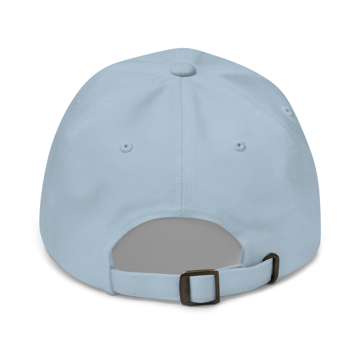 Per My Last Email funny coworker dad hat in Light Blue, back view
