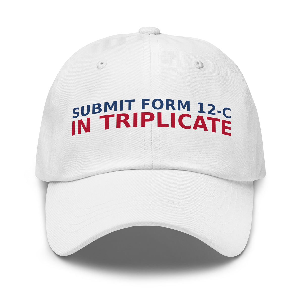 Just Submit Form 12-C In Triplicate funny coworker dad hat in White, front view
