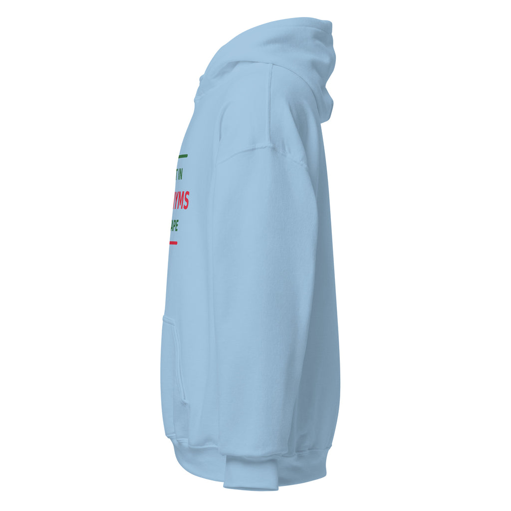 Fluent In Acronyms & Red Tape funny coworker hoodie in Light Blue, left side view