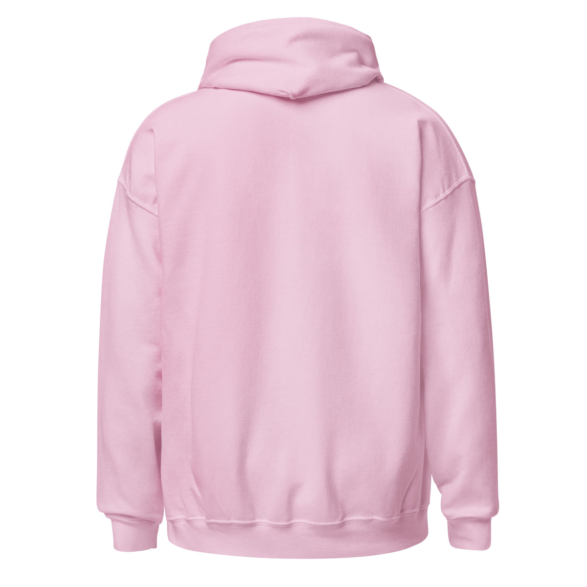 Fluent In Acronyms & Red Tape funny coworker hoodie in Light Pink, back view