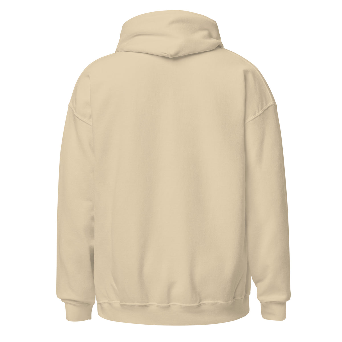 12-Hour Shift, 13 Hours Later, Still Charting funny nurse hoodie in Sand, back view
