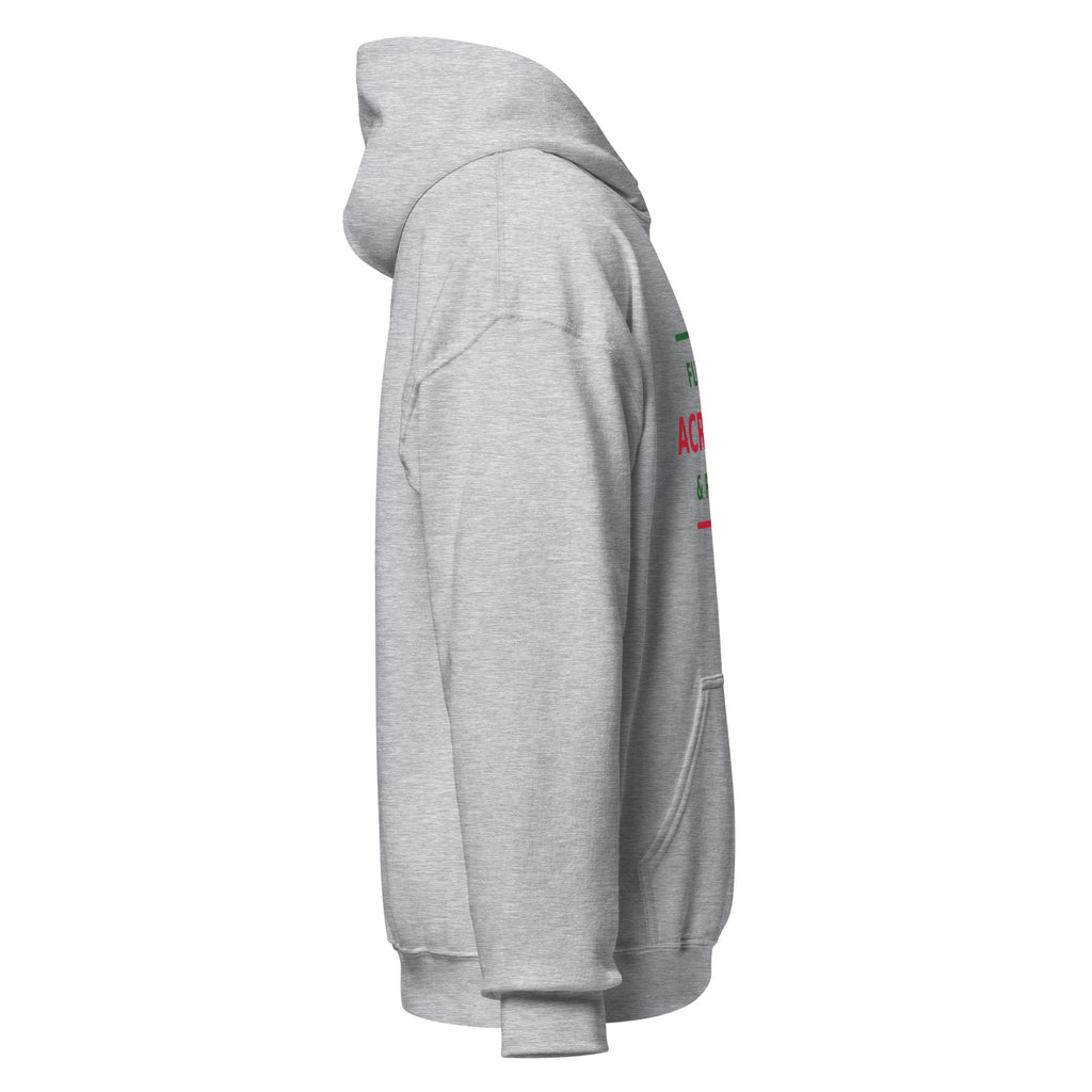 Fluent In Acronyms & Red Tape funny coworker hoodie in Sport Grey, right side view